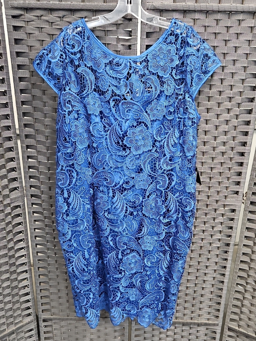 NWT Size 20W Royal Blue Cap Sleeve Floral Lace Adrianna Papell Cocktail Dress